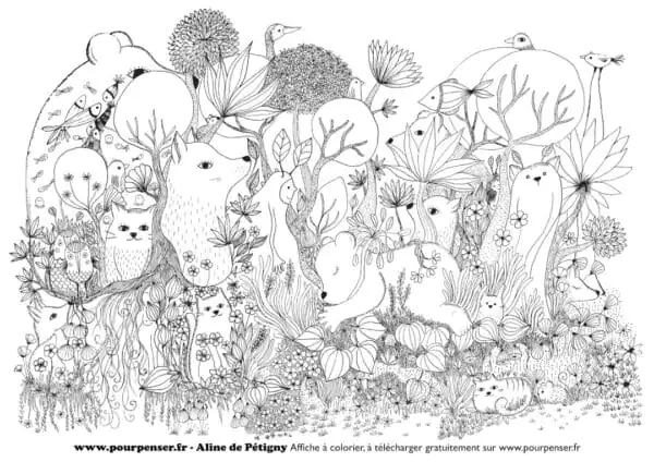Poster coloriage géant ours – Affiche